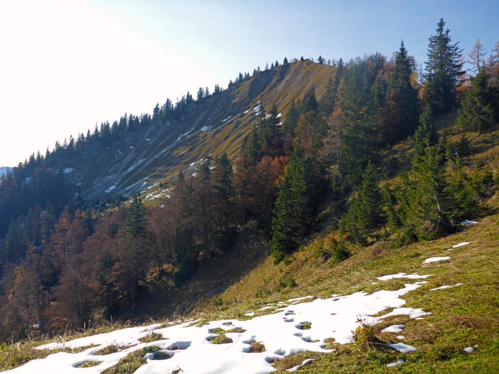 Gr.Zellerhut (133 Bildaufrufe)