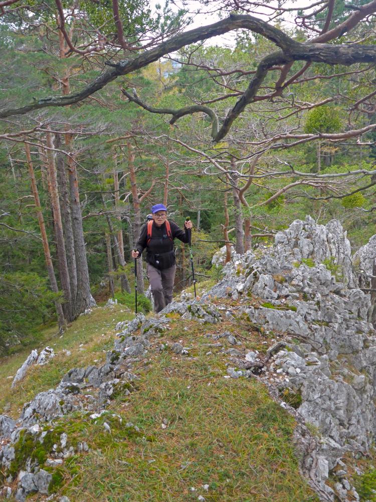 Bruckberg (77 Bildaufrufe)