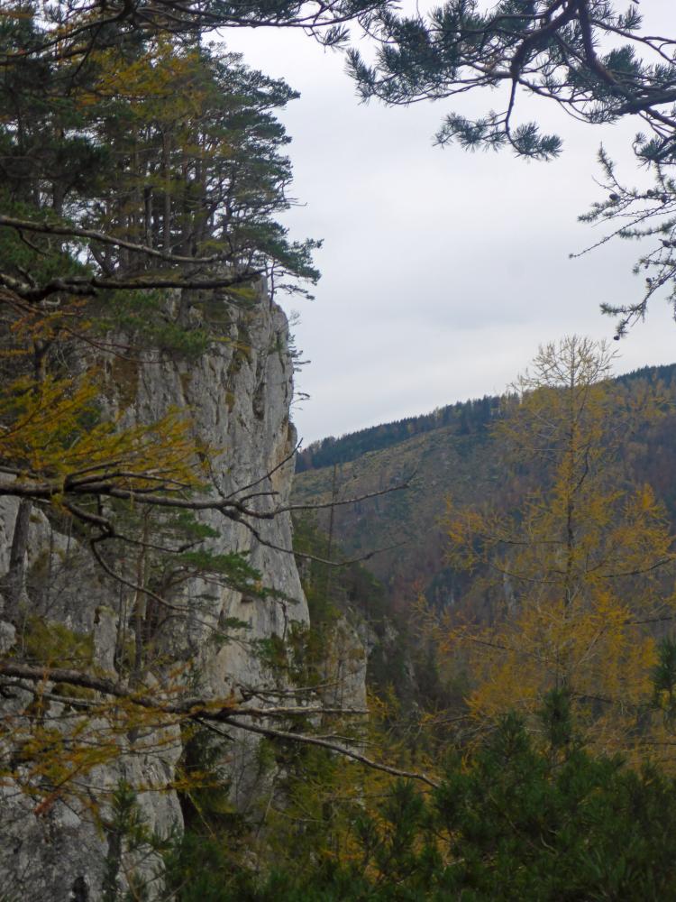 Bruckberg (60 Bildaufrufe)