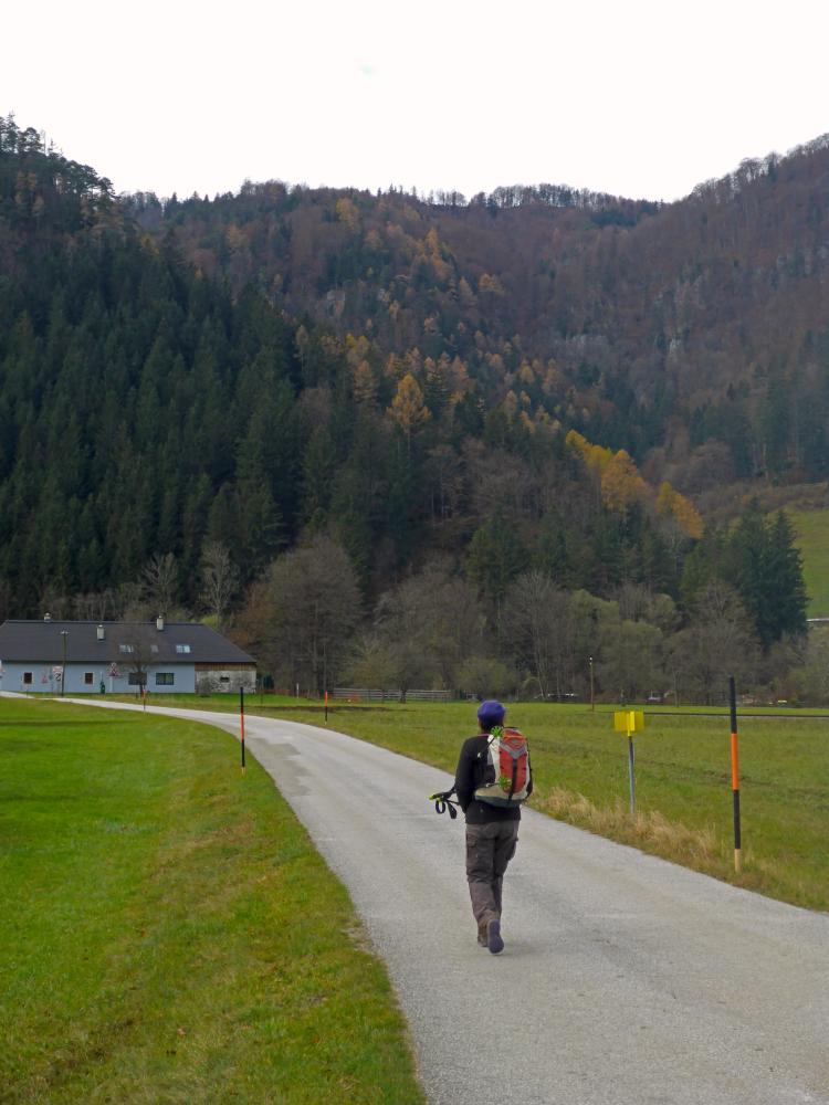 Föhrenstein (69 Bildaufrufe)