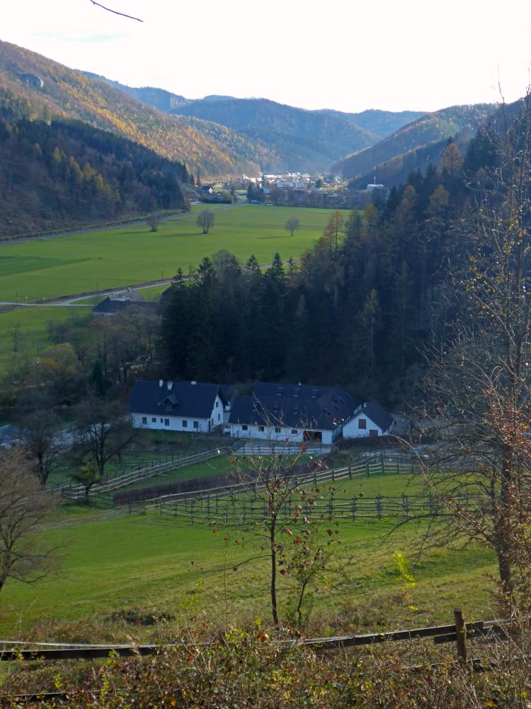 Föhrenstein (75 Bildaufrufe)