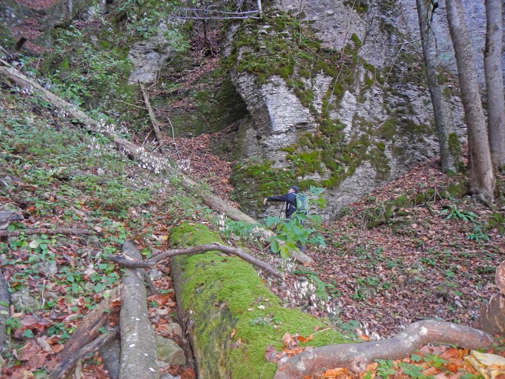 Föhrenstein (78 Bildaufrufe)