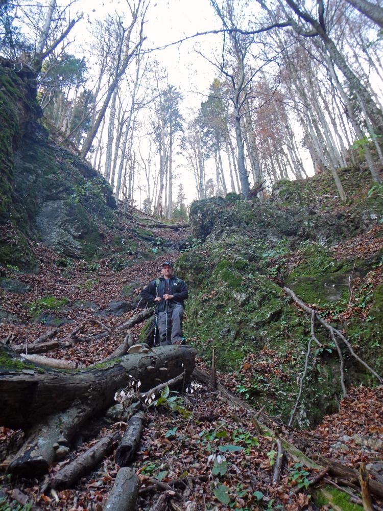 Föhrenstein (67 Bildaufrufe)