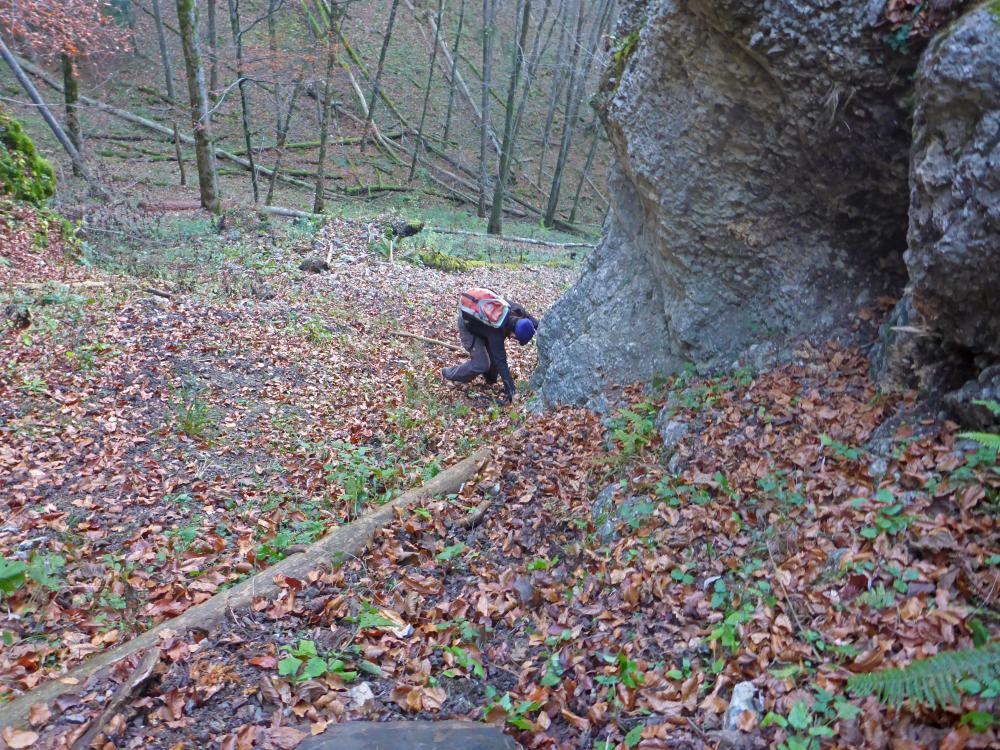 Föhrenstein (66 Bildaufrufe)