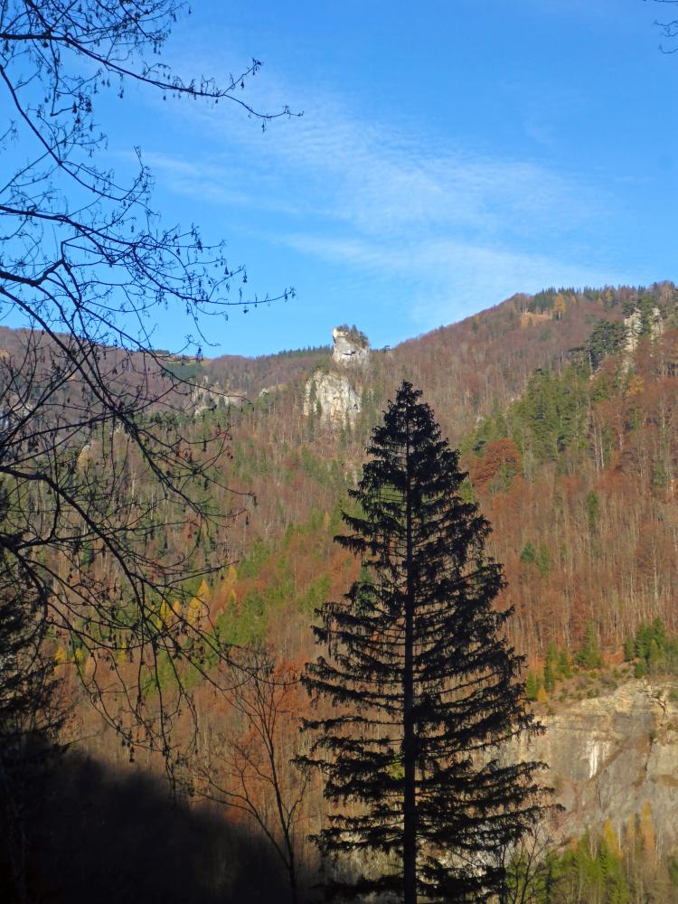 Föhrenstein (83 Bildaufrufe)