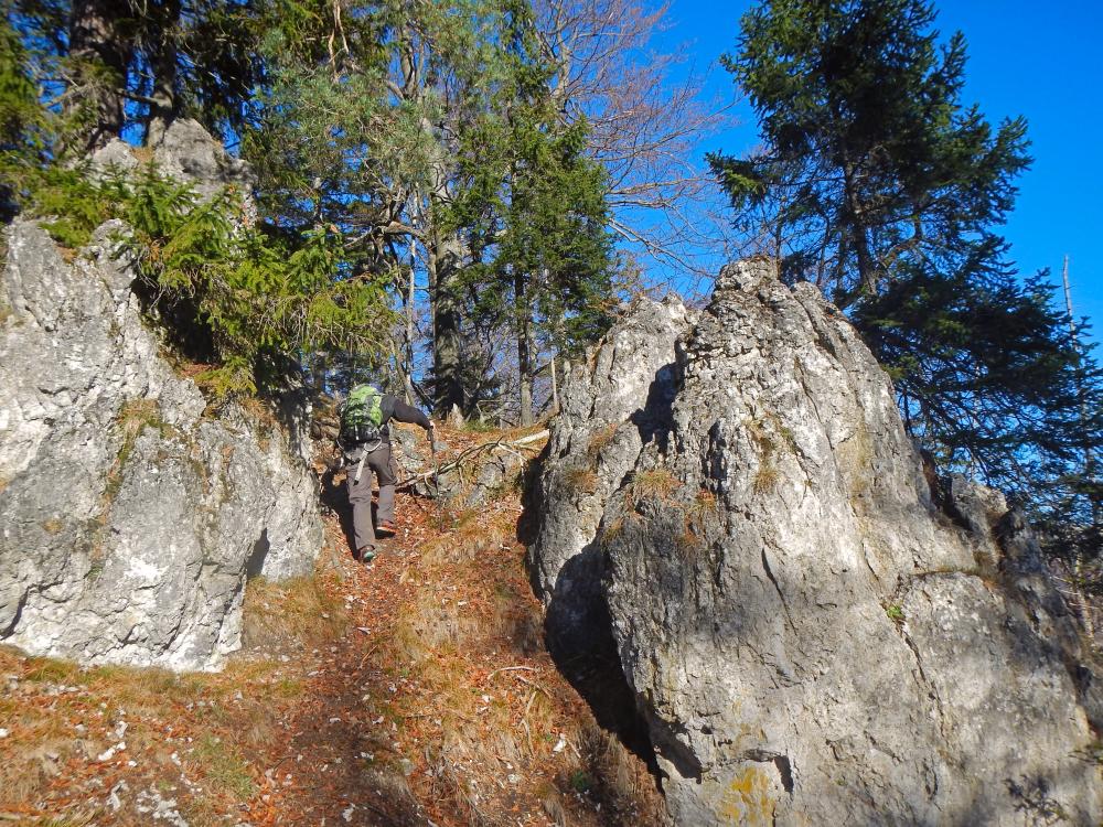 Türnitzer Höger (84 Bildaufrufe)