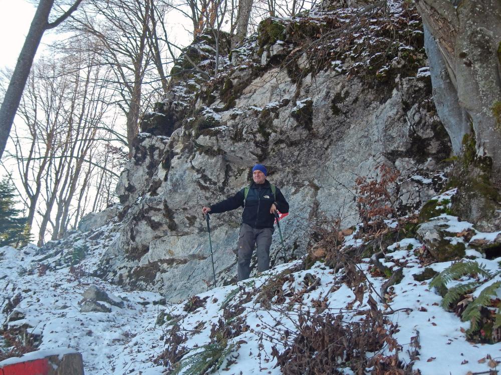 Türnitzer Höger (77 Bildaufrufe)