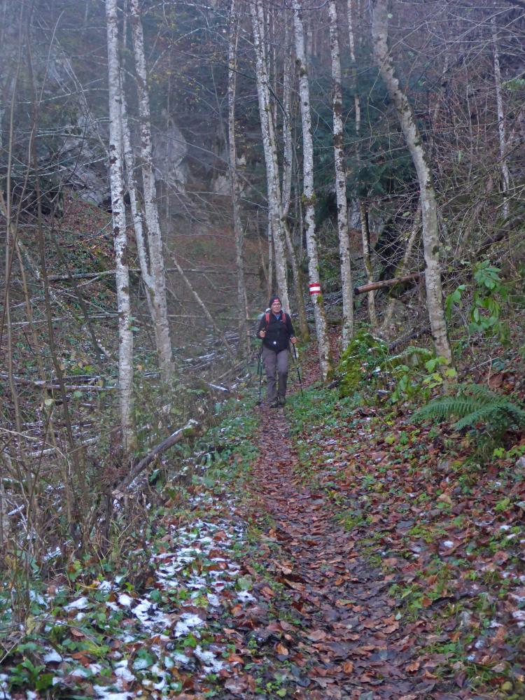 Türnitzer Höger (84 Bildaufrufe)