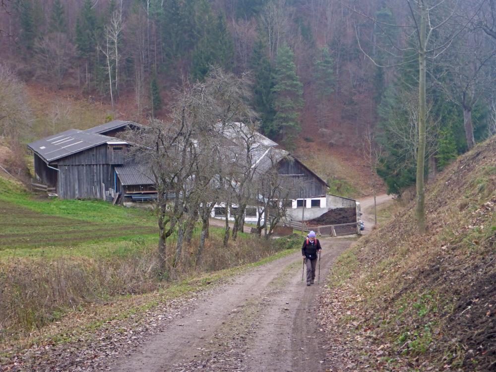 Schönleiten (67 Bildaufrufe)
