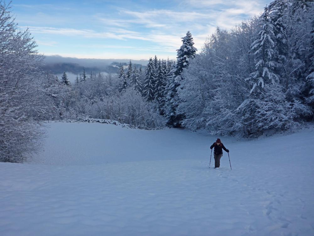 Gaisberg (65 Bildaufrufe)