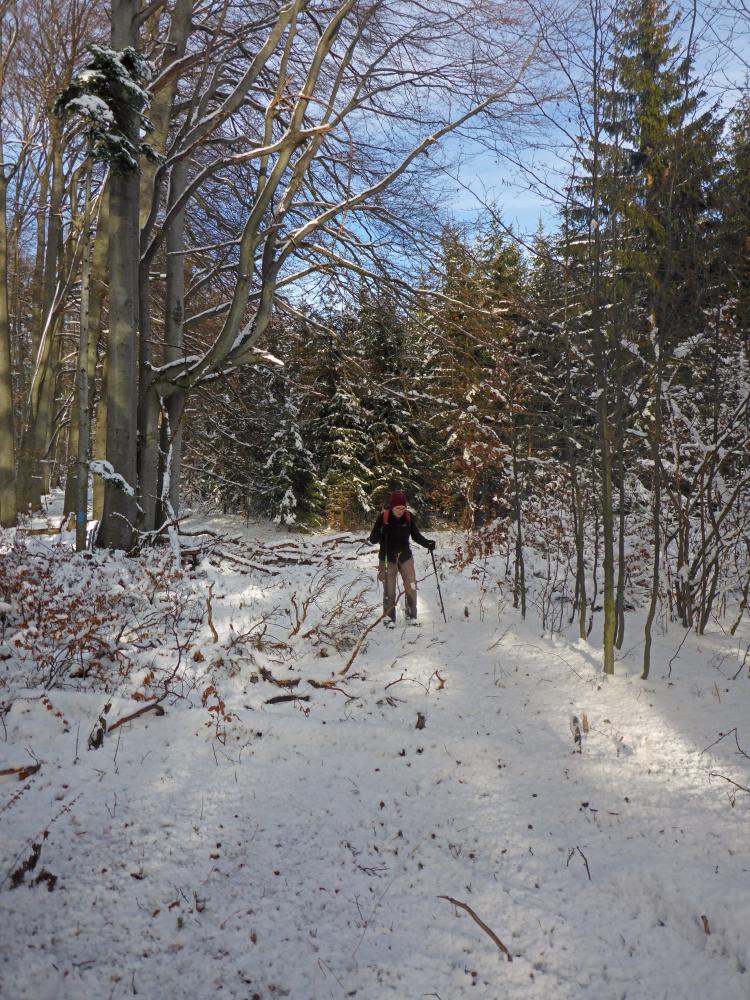 Gaisberg (77 Bildaufrufe)