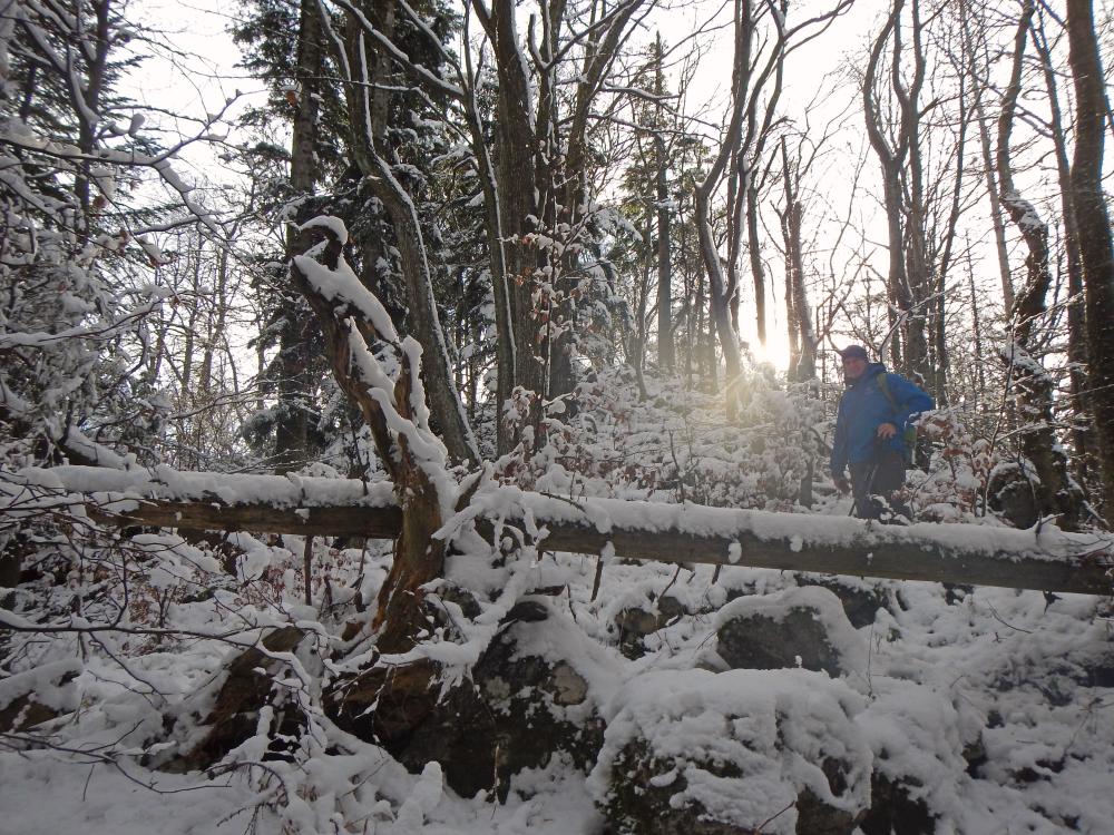 Gaisberg (78 Bildaufrufe)