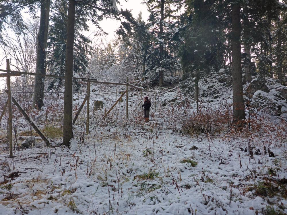 Gaisberg (72 Bildaufrufe)