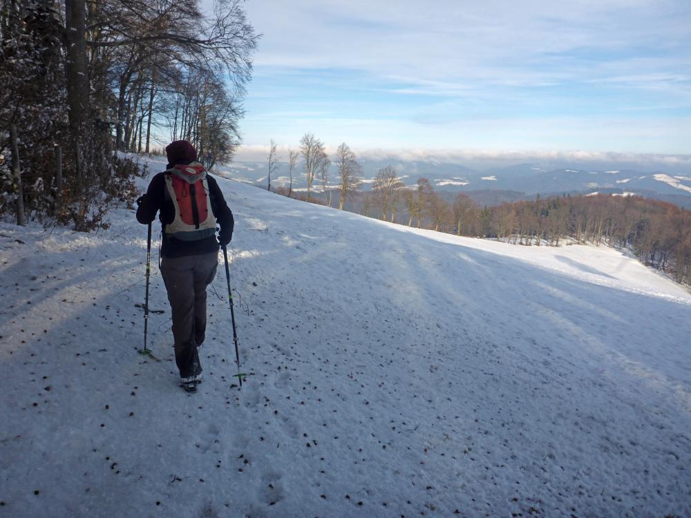 Gaisberg (88 Bildaufrufe)