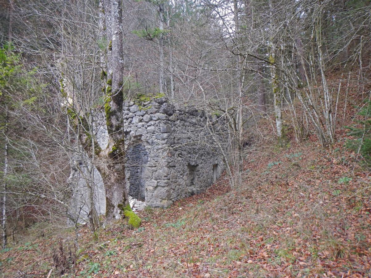 Schobergupf (42 Bildaufrufe)