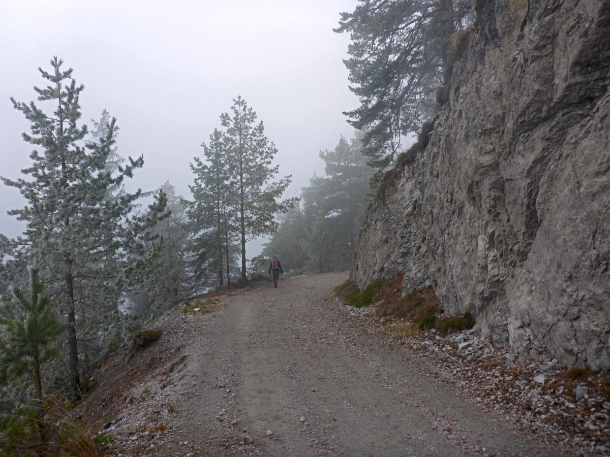 Schobergupf (48 Bildaufrufe)