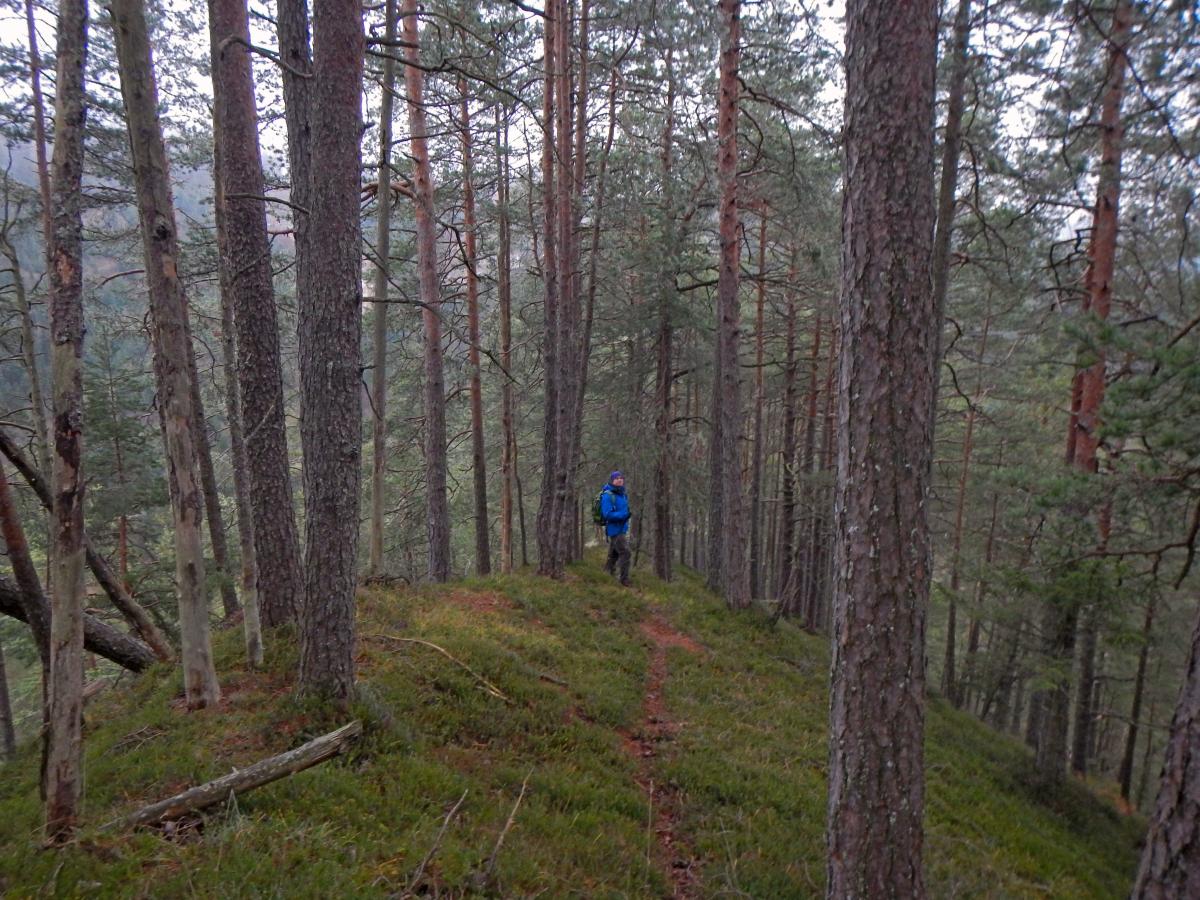 Schobergupf (38 Bildaufrufe)