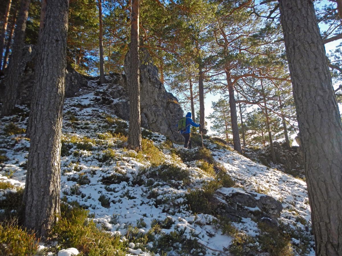 Heidenstein (56 Bildaufrufe)