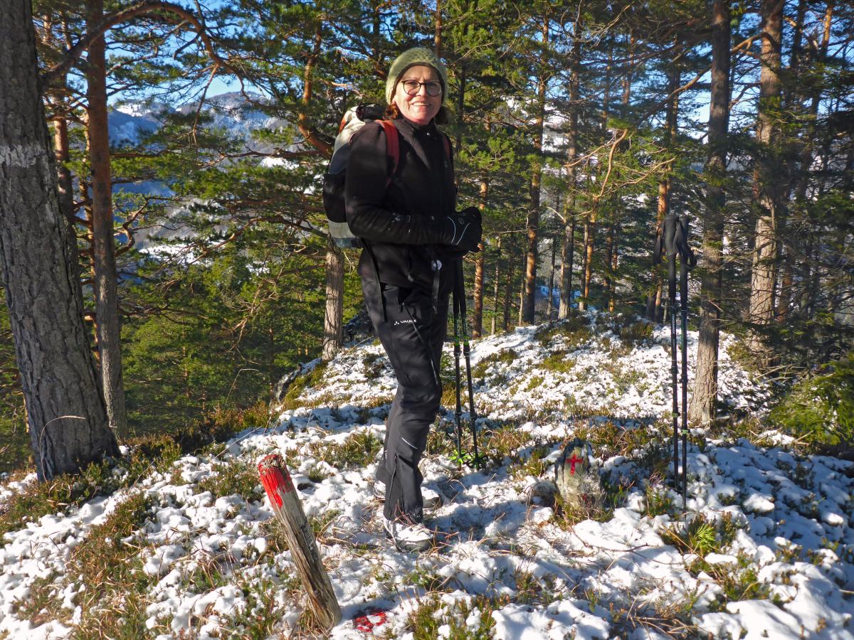 Heidenstein (63 Bildaufrufe)