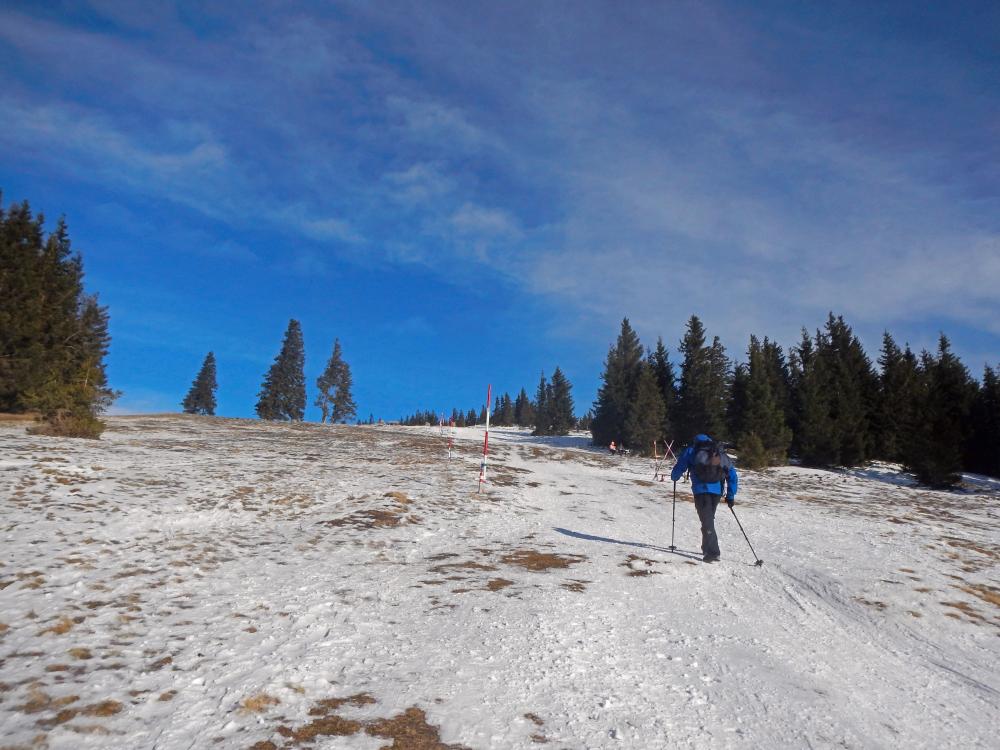 Tirolerkogel (95 Bildaufrufe)