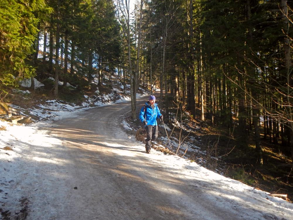 Tirolerkogel (96 Bildaufrufe)