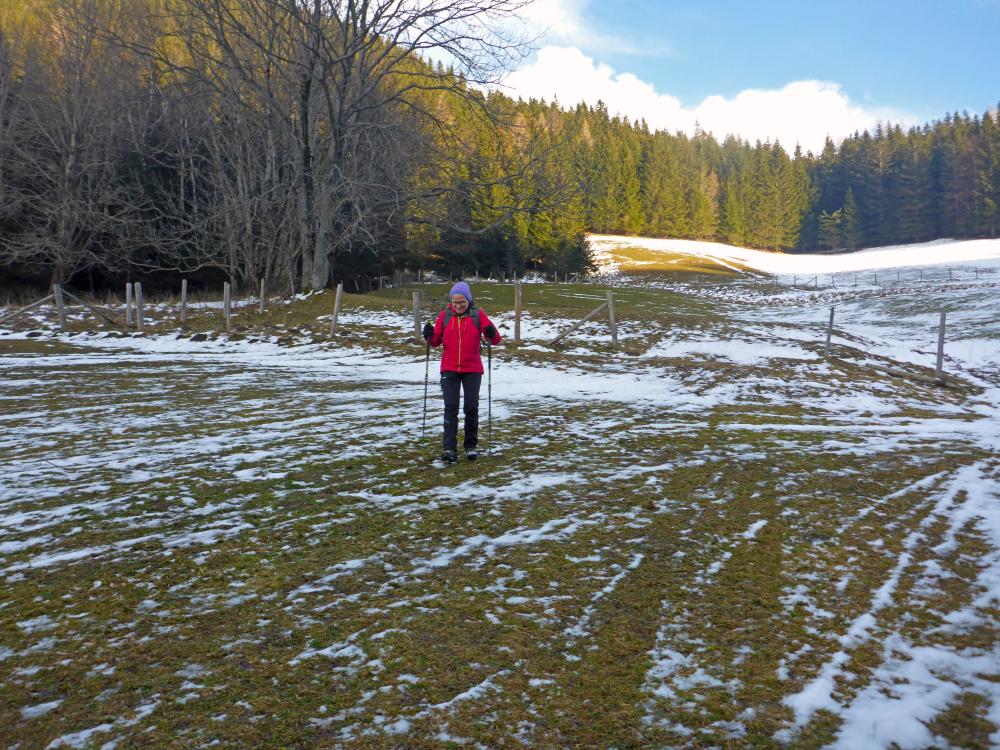 Tirolerkogel (75 Bildaufrufe)