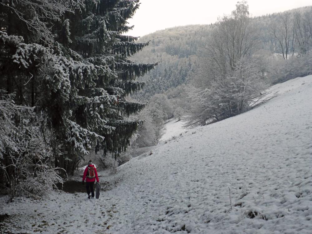 Kaiserkogel (73 Bildaufrufe)