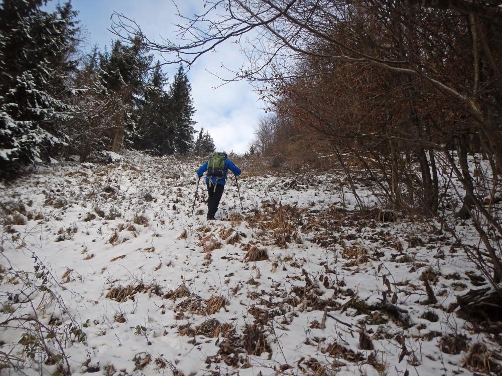 Lorenzipechkogel (118 Bildaufrufe)
