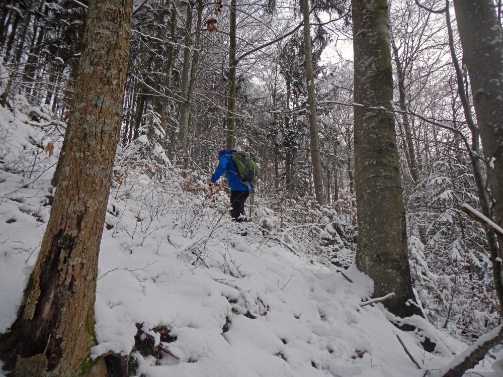 Lorenzipechkogel (85 Bildaufrufe)