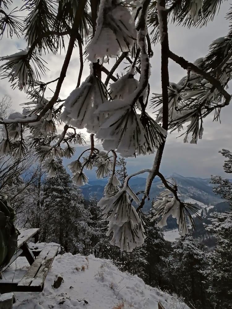 Lorenzipechkogel (97 Bildaufrufe)