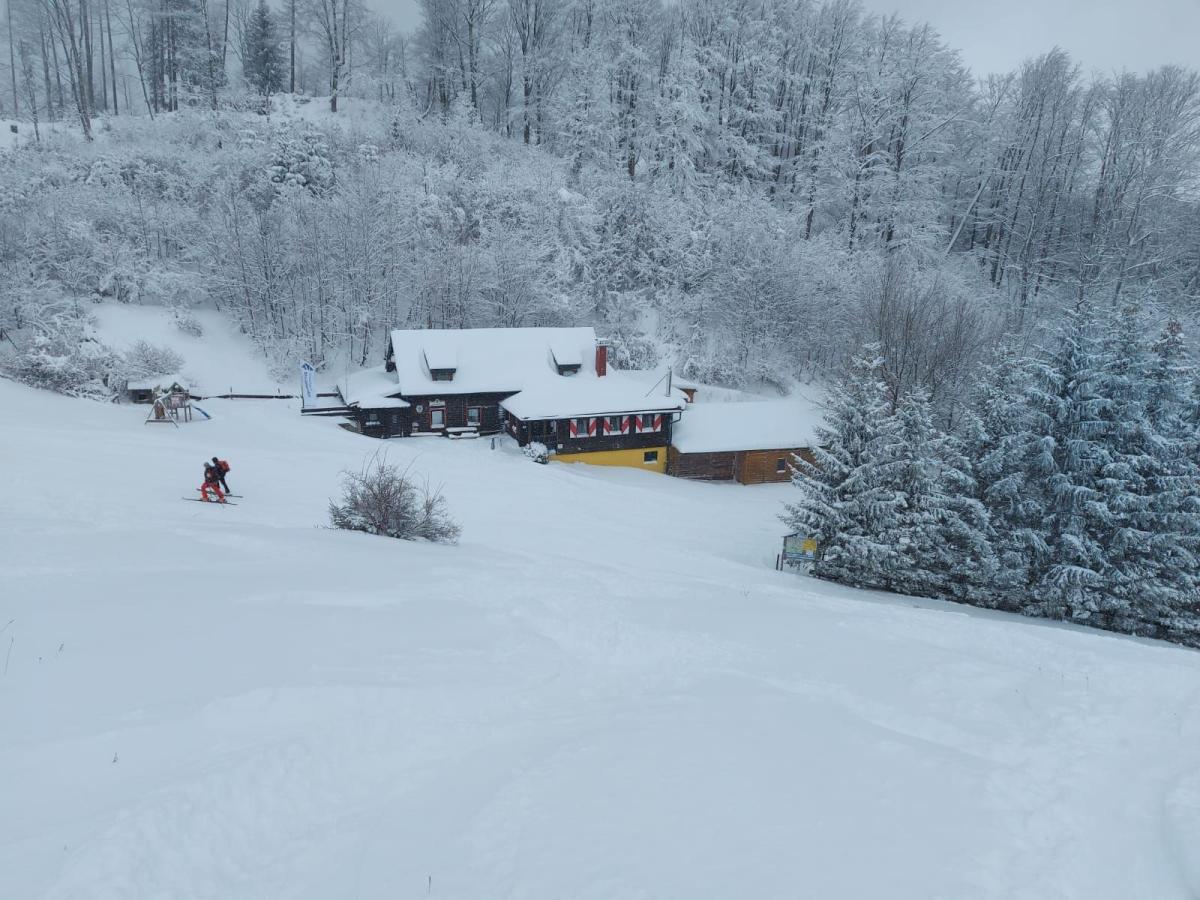 Muckenkogel (119 Bildaufrufe)