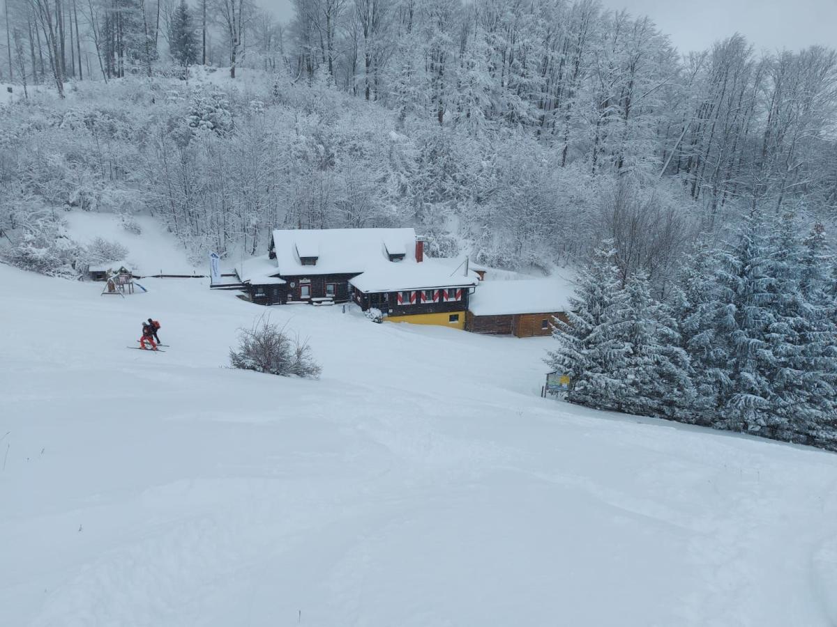 Muckenkogel (114 Bildaufrufe)