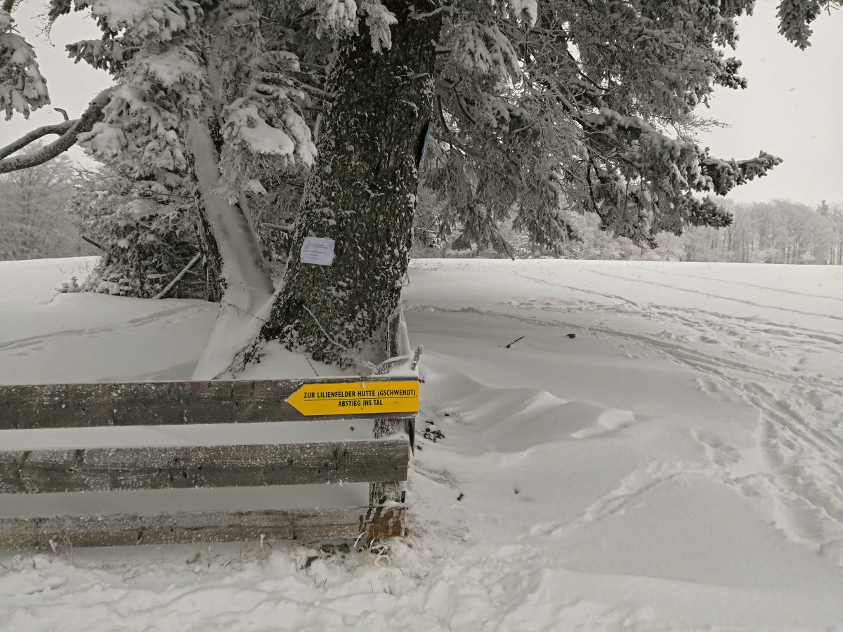 Muckenkogel (123 Bildaufrufe)