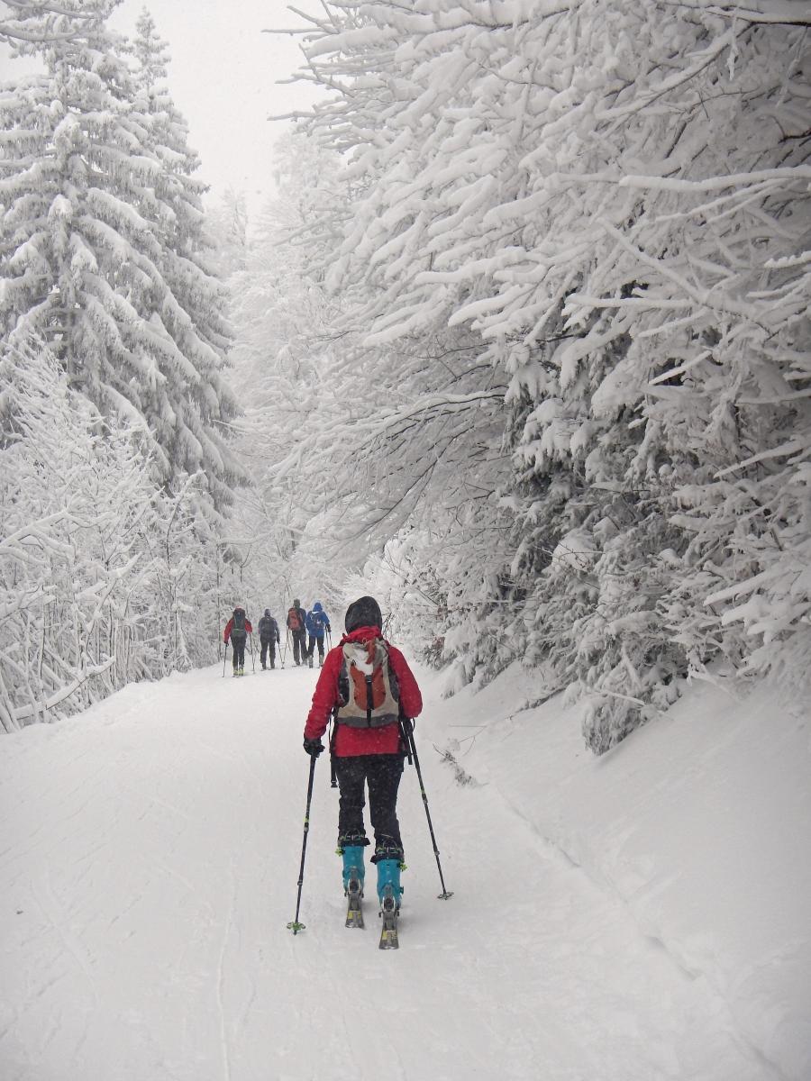 Muckenkogel (130 Bildaufrufe)