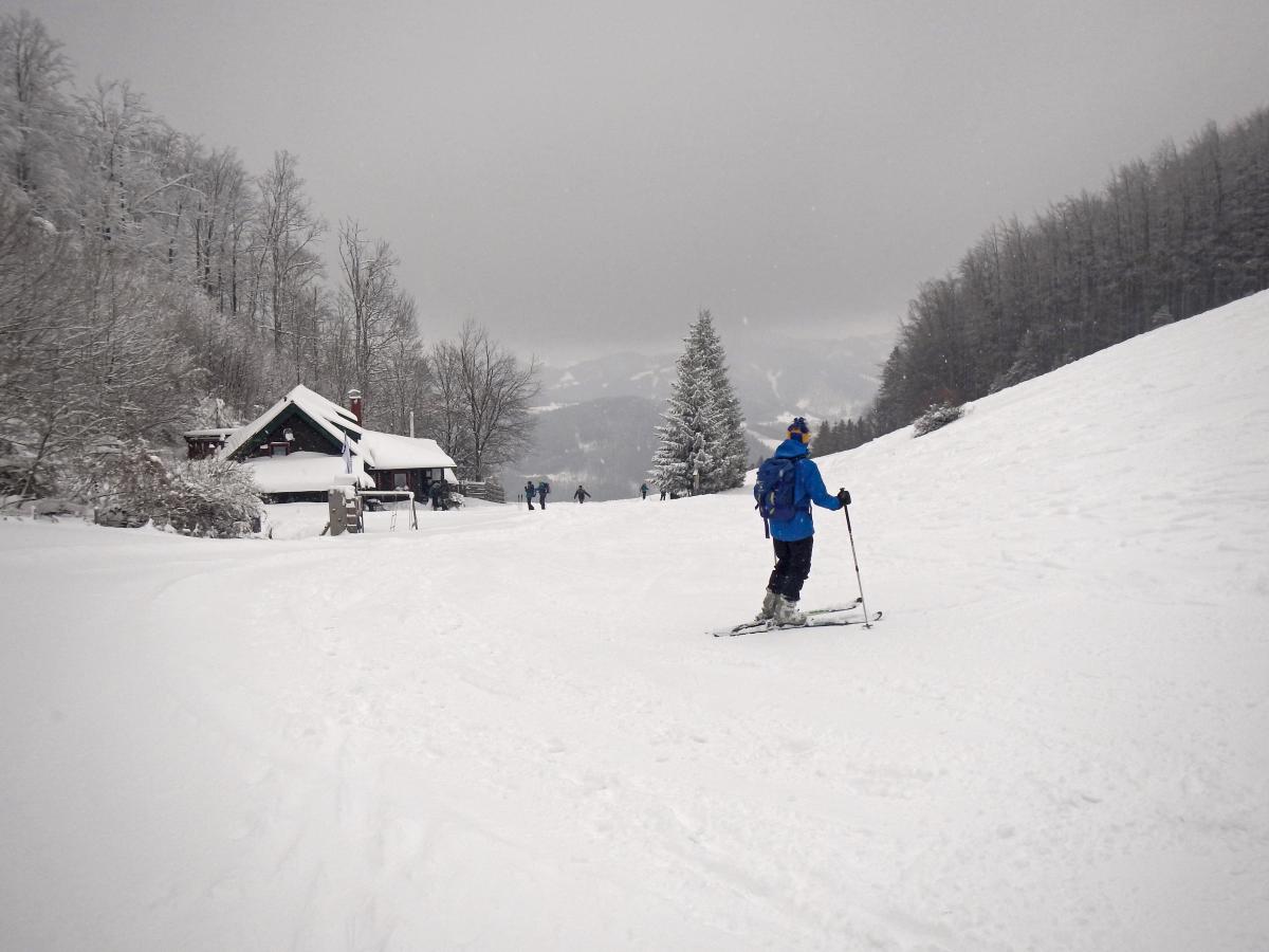 Muckenkogel (115 Bildaufrufe)
