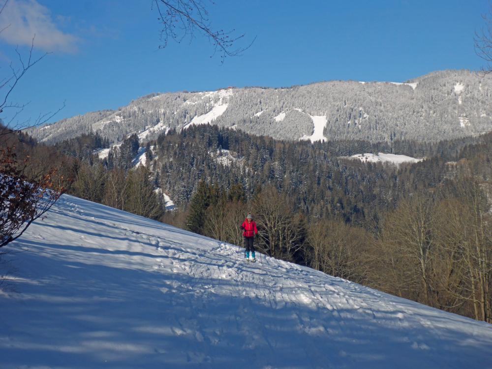 Tirolerkogel (84 Bildaufrufe)