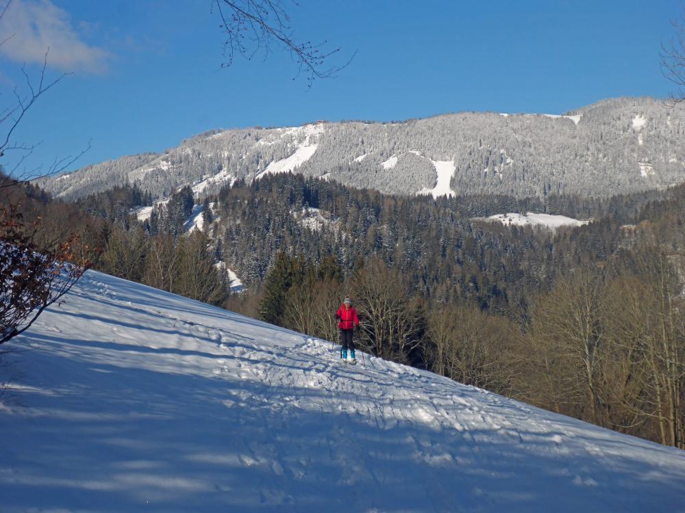 Tirolerkogel (71 Bildaufrufe)