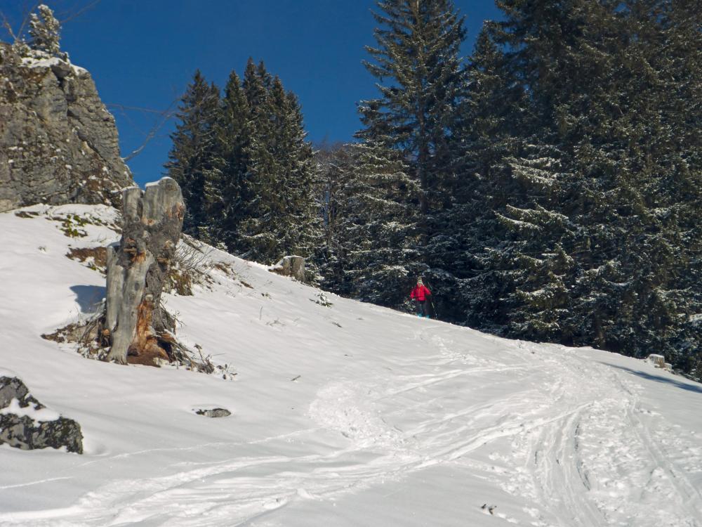 Tirolerkogel (70 Bildaufrufe)