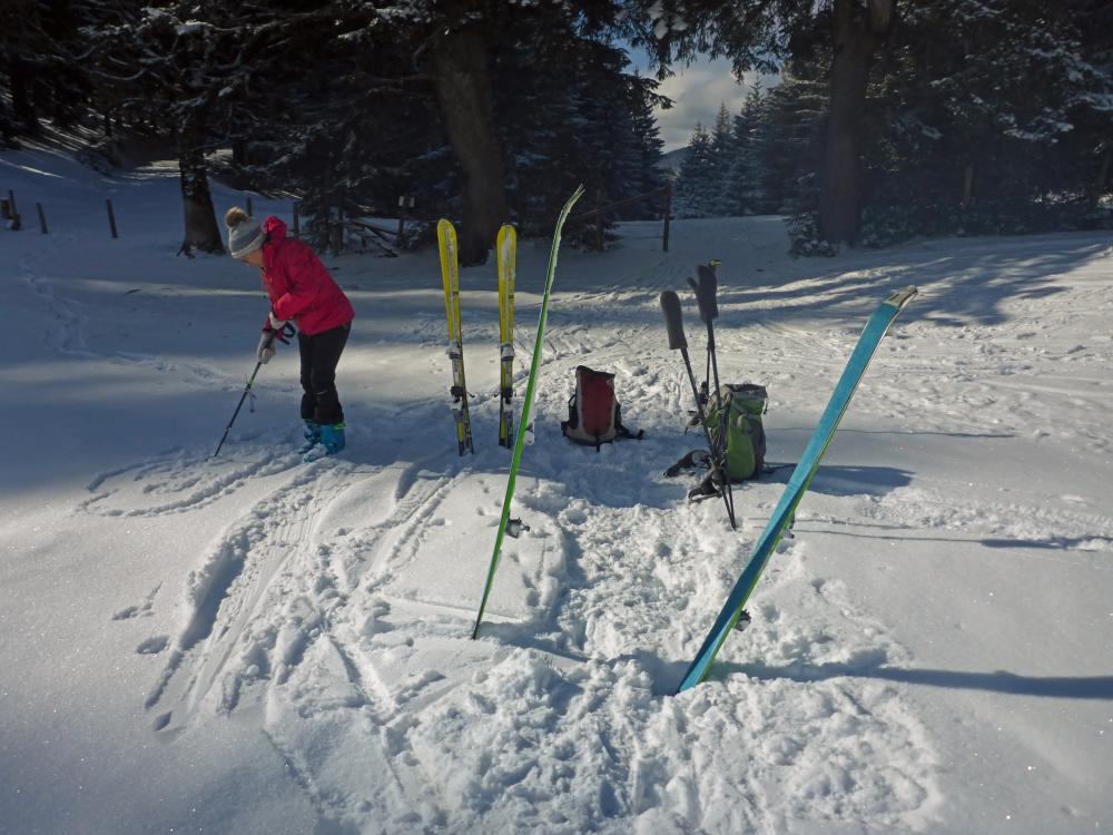 Tirolerkogel (74 Bildaufrufe)