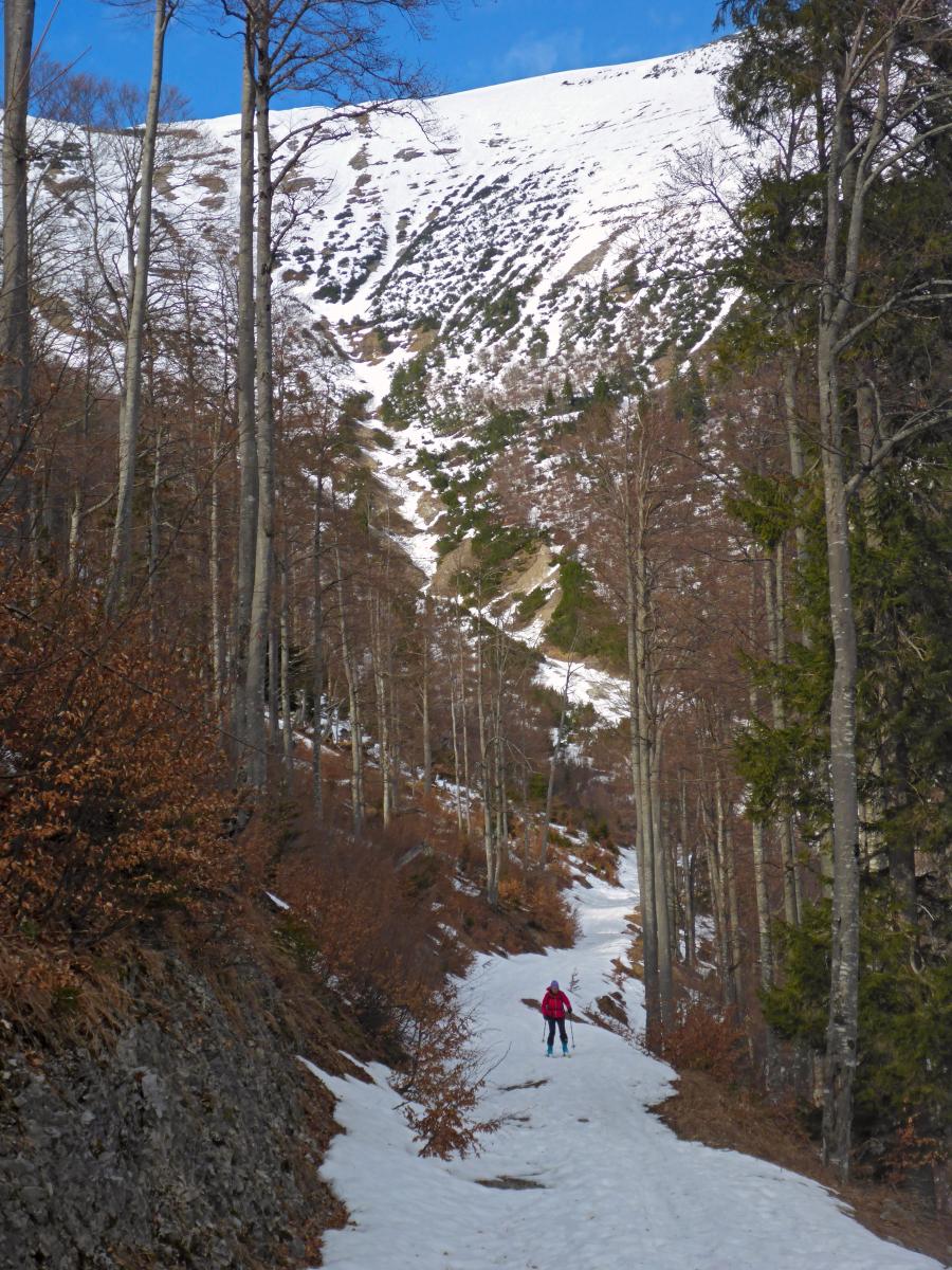 Göller (83 Bildaufrufe)