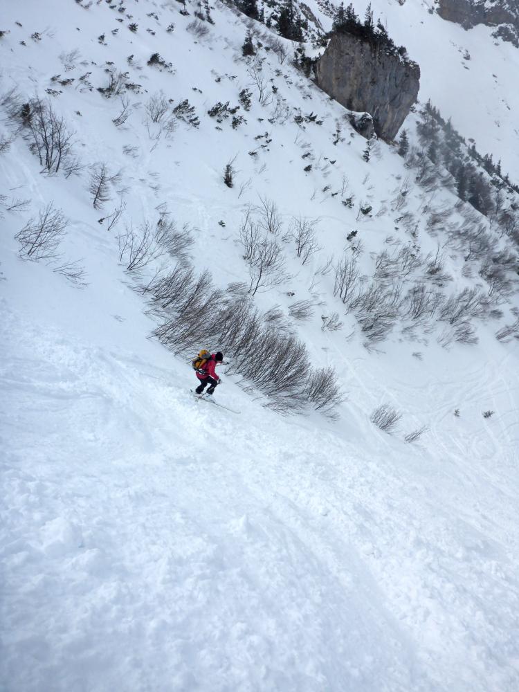 Speikkogel (65 Bildaufrufe)