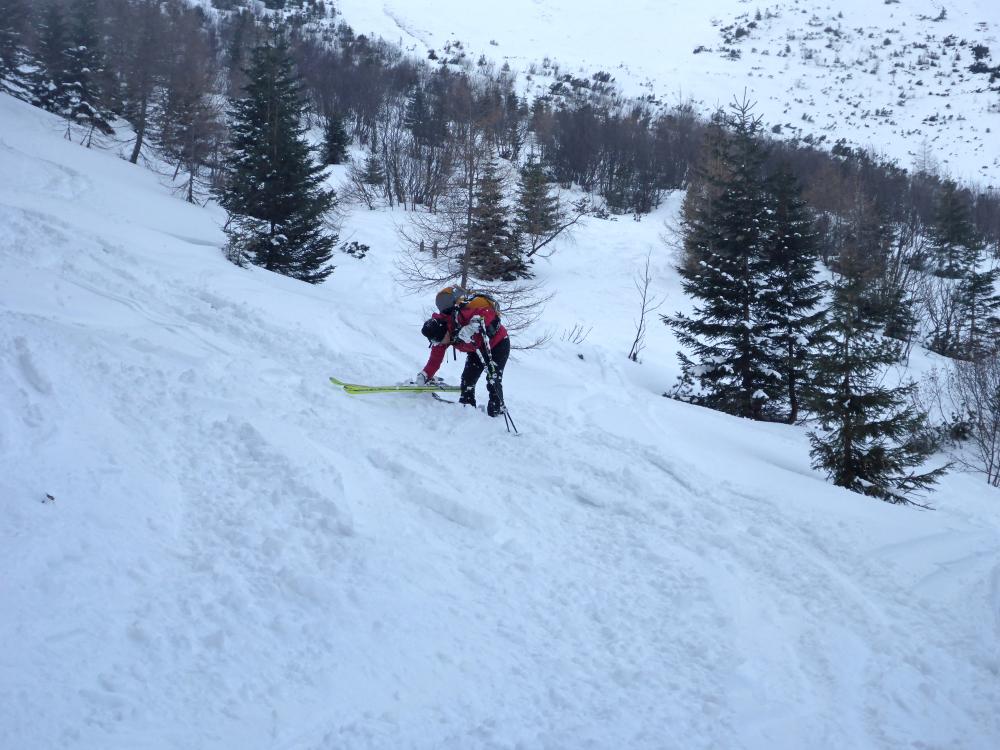 Speikkogel (62 Bildaufrufe)