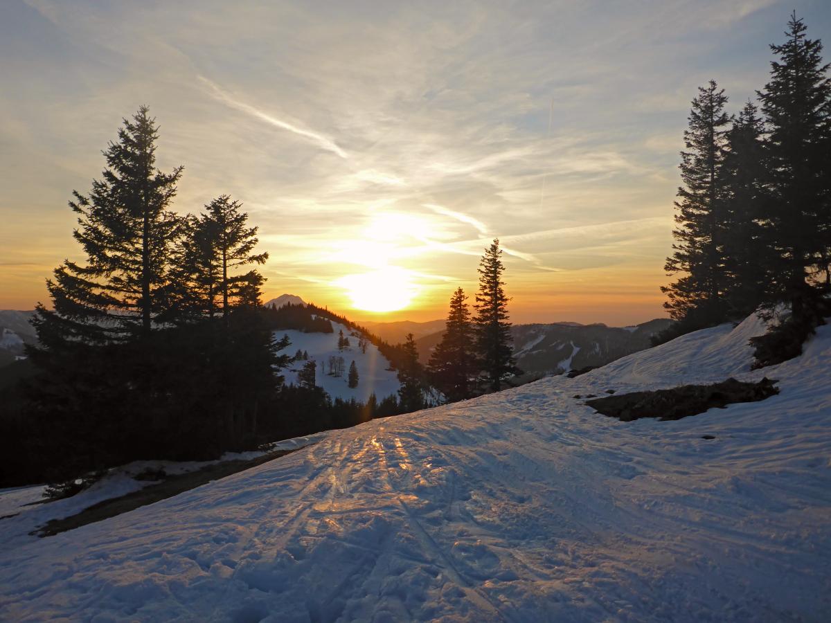 Tirolerkogel (62 Bildaufrufe)