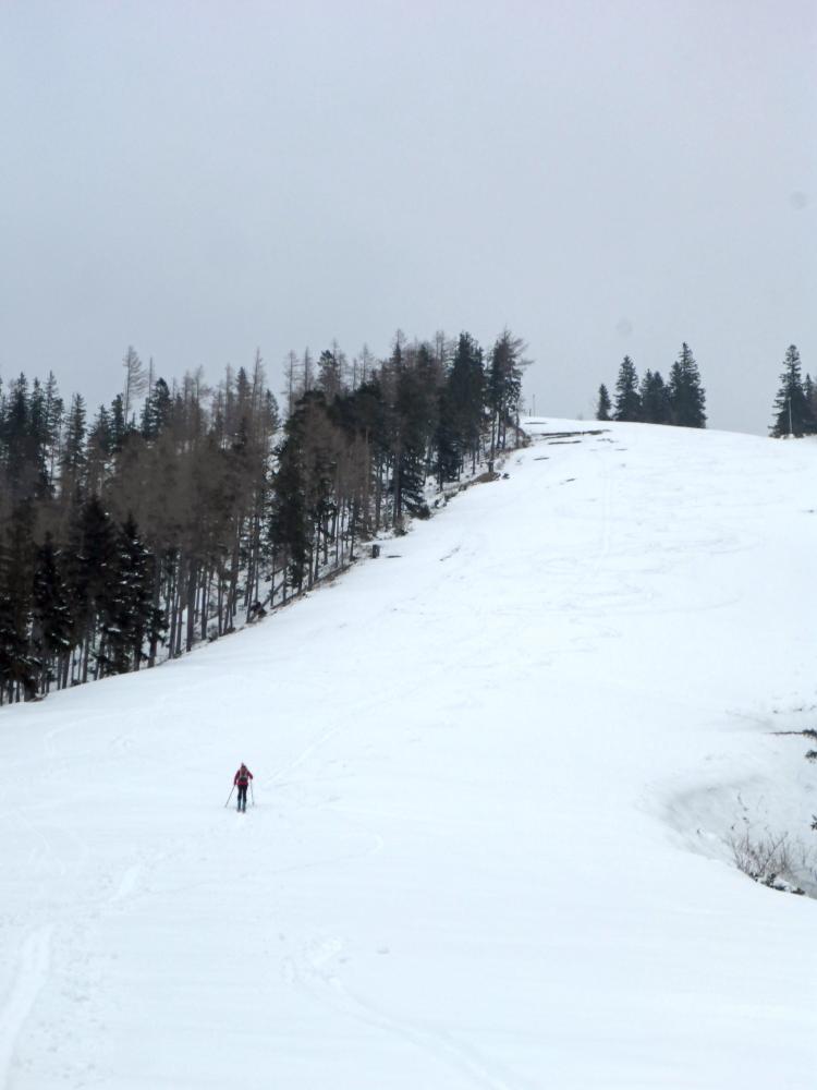 Bürgeralpe (66 Bildaufrufe)