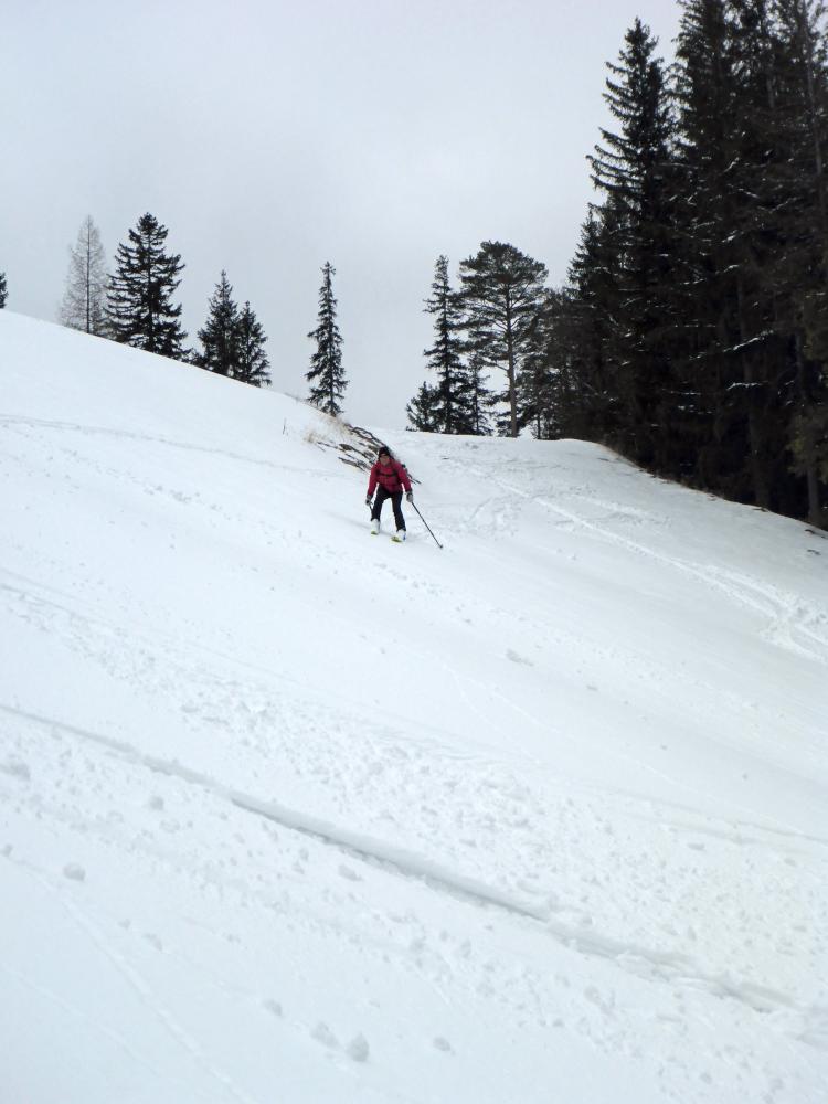 Bürgeralpe (65 Bildaufrufe)