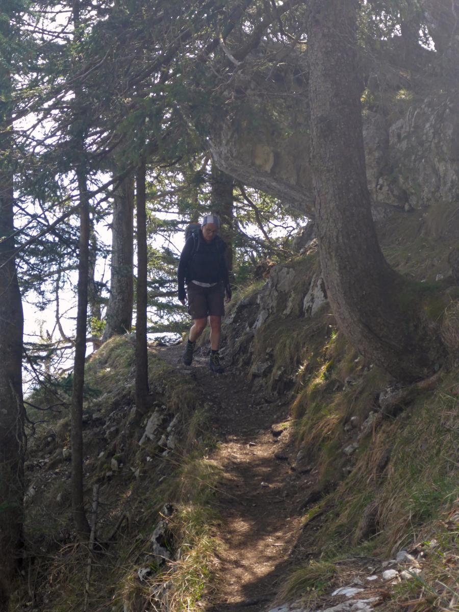 Mahdlgupf (91 Bildaufrufe)