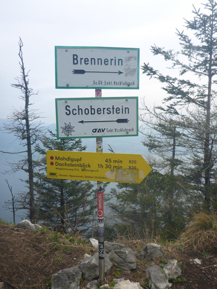 Mahdlgupf (78 Bildaufrufe)