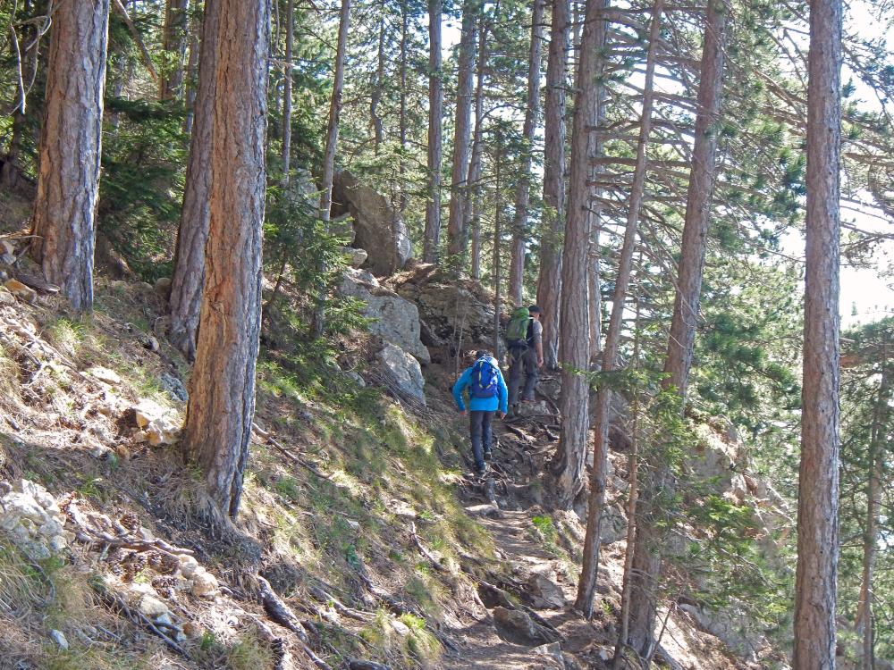 Hohe Wand (68 Bildaufrufe)