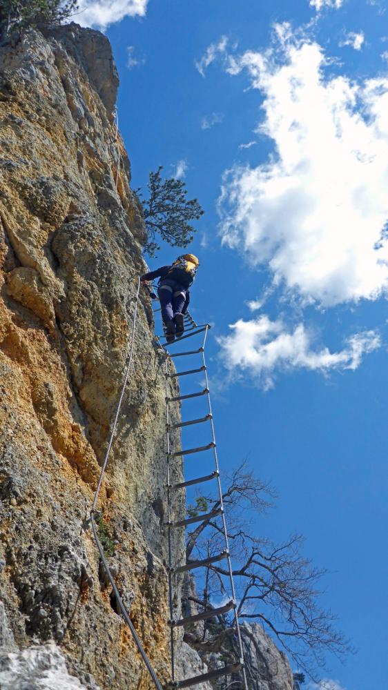 Hohe Wand (74 Bildaufrufe)