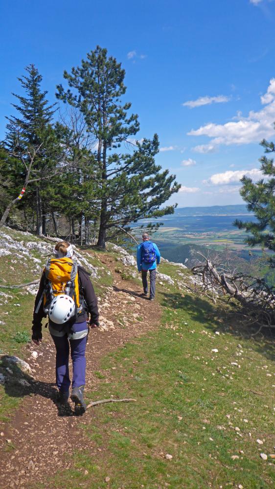 Hohe Wand (68 Bildaufrufe)